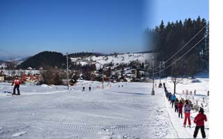 cypisek