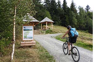 trasy rowerowe